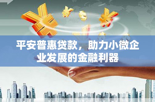 原州平安普惠贷款，助力小微企业发展的金融利器