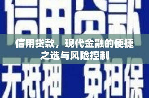 原州信用贷款，现代金融的便捷之选与风险控制