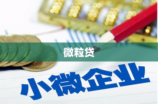 原州微粒贷