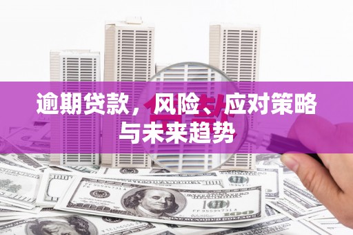 原州逾期贷款，风险、应对策略与未来趋势
