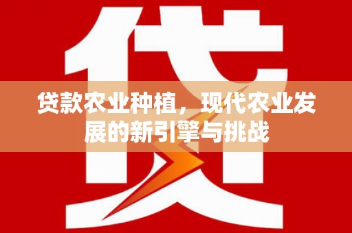 原州贷款农业种植，现代农业发展的新引擎与挑战