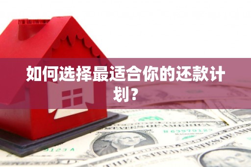 原州如何选择最适合你的还款计划？