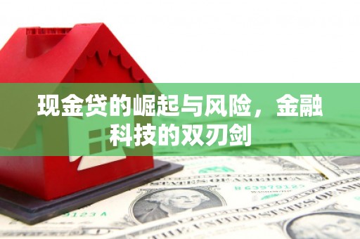 原州现金贷的崛起与风险，金融科技的双刃剑