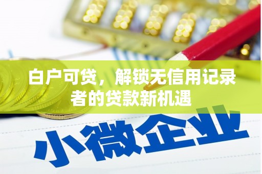 原州白户可贷，解锁无信用记录者的贷款新机遇