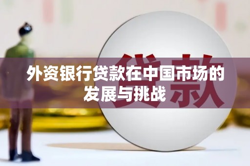 原州外资银行贷款在中国市场的发展与挑战