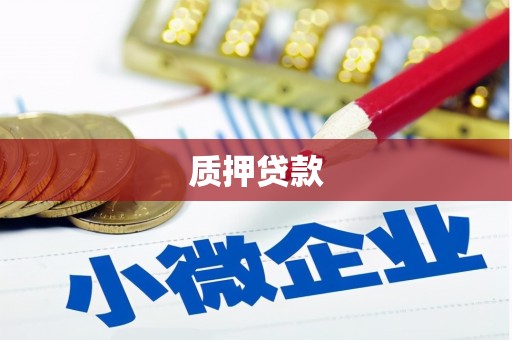 原州质押贷款