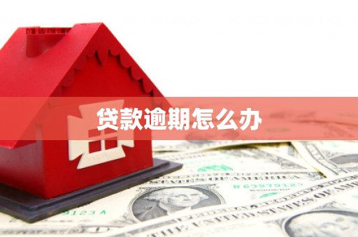 原州贷款逾期怎么办