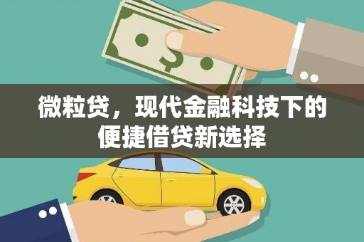 原州微粒贷，现代金融科技下的便捷借贷新选择