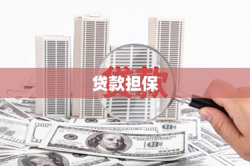 原州贷款担保