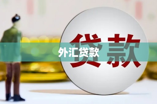 原州外汇贷款
