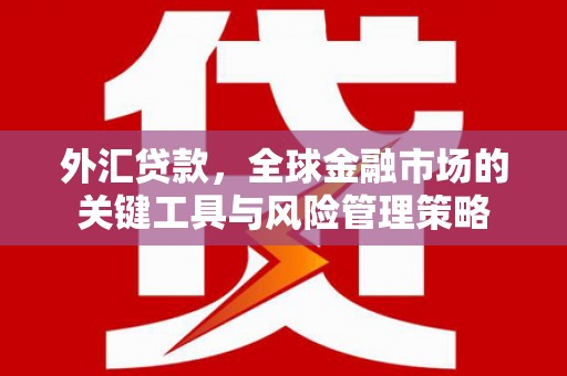 原州外汇贷款，全球金融市场的关键工具与风险管理策略