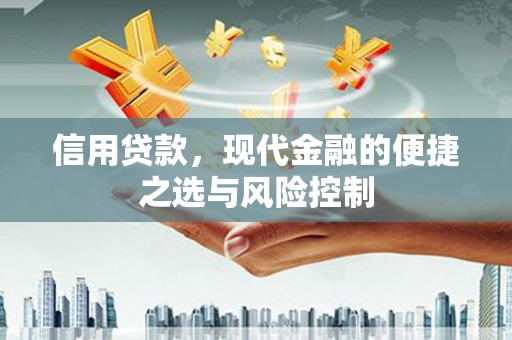 原州信用贷款，现代金融的便捷之选与风险控制