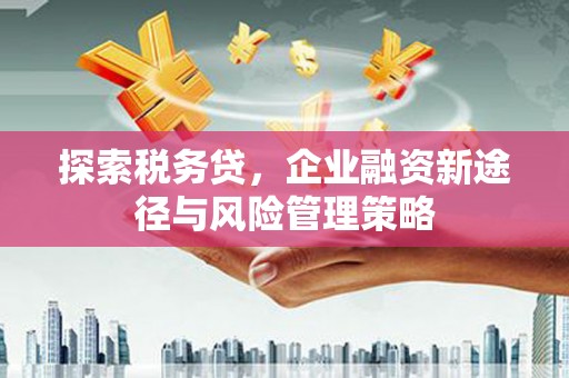 原州探索税务贷，企业融资新途径与风险管理策略