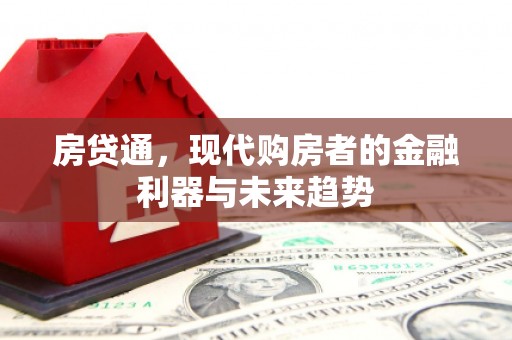 原州房贷通，现代购房者的金融利器与未来趋势