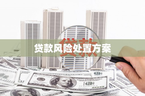 原州贷款风险处置方案