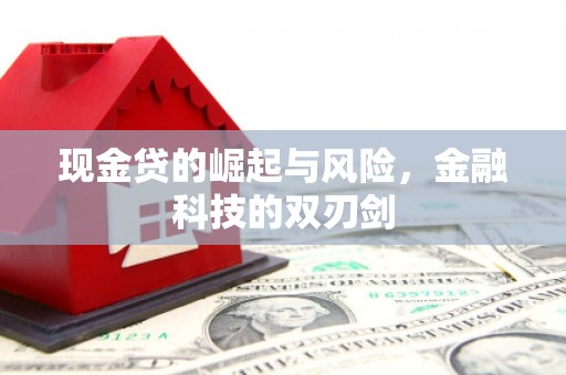 原州现金贷的崛起与风险，金融科技的双刃剑