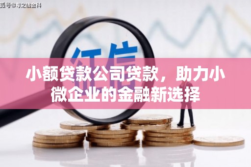 原州小额贷款公司贷款，助力小微企业的金融新选择