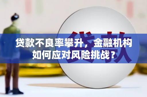 原州贷款不良率攀升，金融机构如何应对风险挑战？