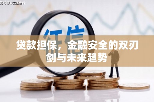 原州贷款担保，金融安全的双刃剑与未来趋势
