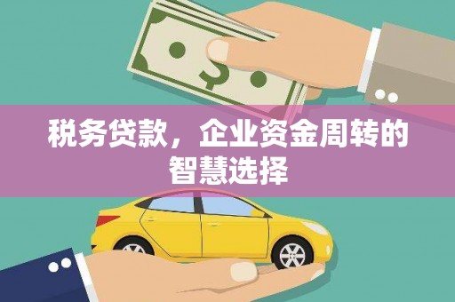 原州税务贷款，企业资金周转的智慧选择