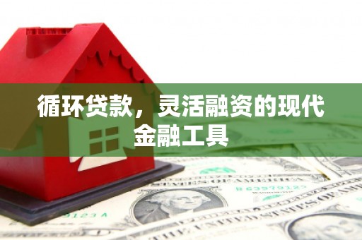 原州循环贷款，灵活融资的现代金融工具
