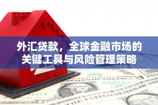 原州外汇贷款，全球金融市场的关键工具与风险管理策略