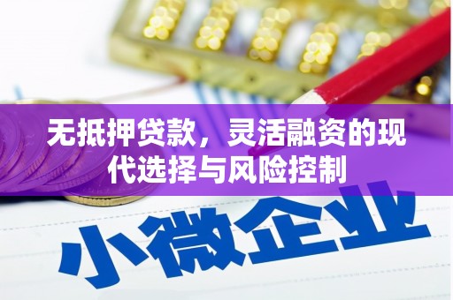 原州无抵押贷款，灵活融资的现代选择与风险控制
