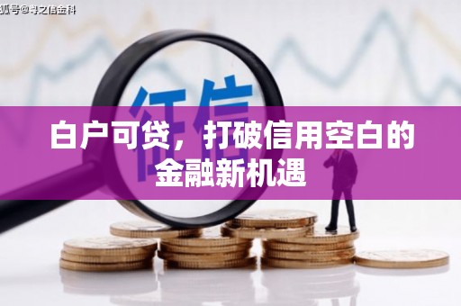 原州白户可贷，打破信用空白的金融新机遇