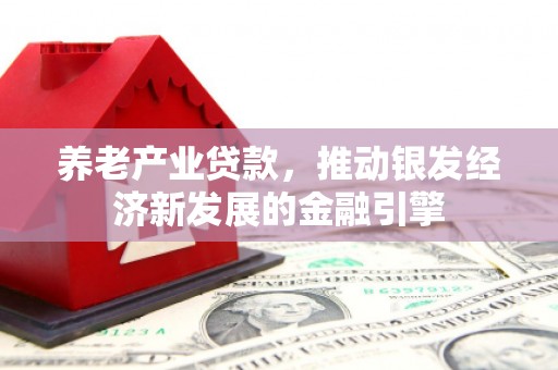 原州养老产业贷款，推动银发经济新发展的金融引擎