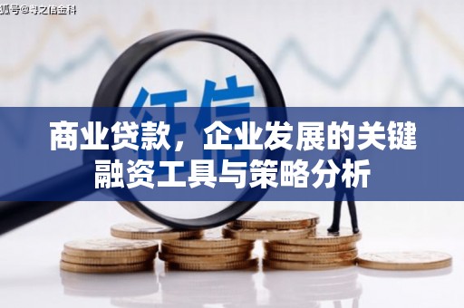 原州商业贷款，企业发展的关键融资工具与策略分析