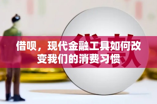 原州借呗，现代金融工具如何改变我们的消费习惯