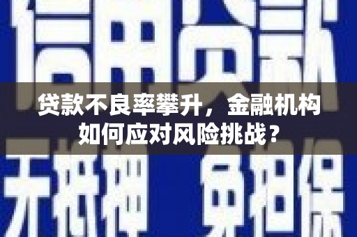 原州贷款不良率攀升，金融机构如何应对风险挑战？