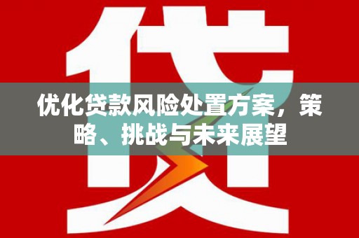 原州优化贷款风险处置方案，策略、挑战与未来展望