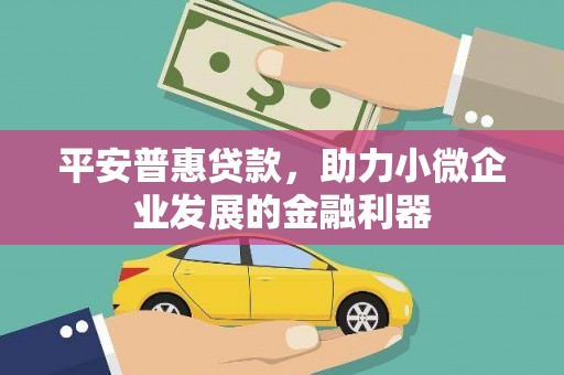 原州平安普惠贷款，助力小微企业发展的金融利器