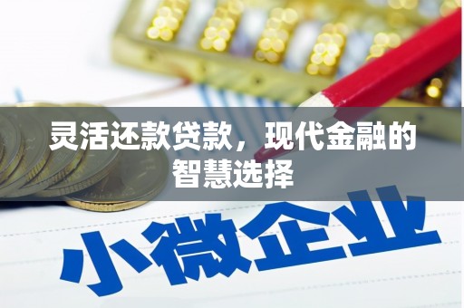 原州灵活还款贷款，现代金融的智慧选择