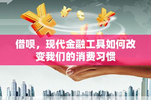 原州借呗，现代金融工具如何改变我们的消费习惯
