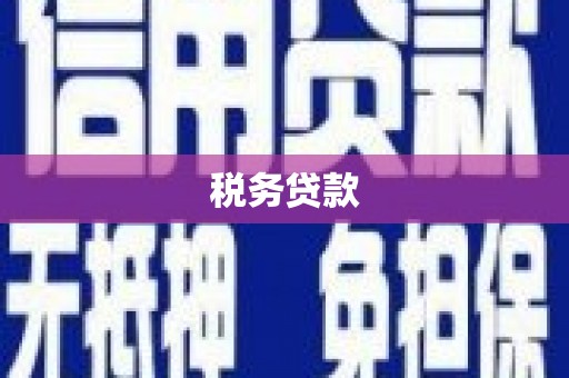 原州税务贷款