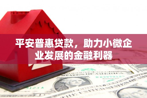 原州平安普惠贷款，助力小微企业发展的金融利器