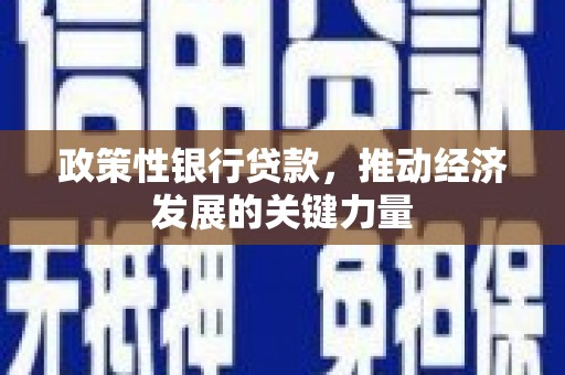 原州政策性银行贷款，推动经济发展的关键力量