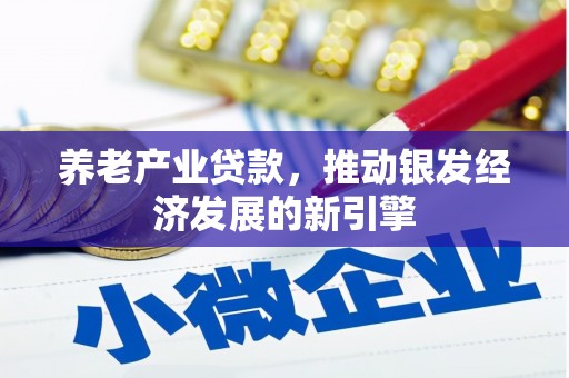原州养老产业贷款，推动银发经济发展的新引擎