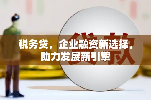 原州税务贷，企业融资新选择，助力发展新引擎