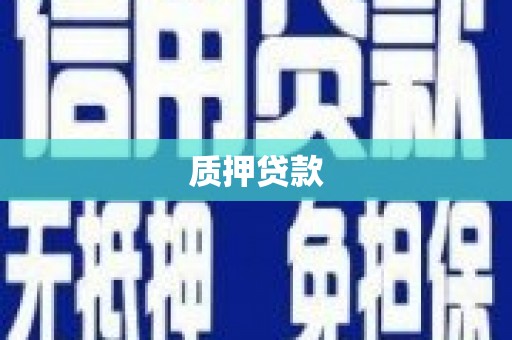 原州质押贷款
