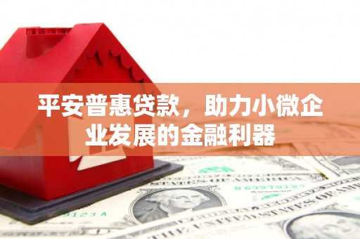 原州平安普惠贷款，助力小微企业发展的金融利器
