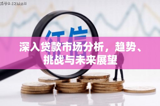 原州深入贷款市场分析，趋势、挑战与未来展望