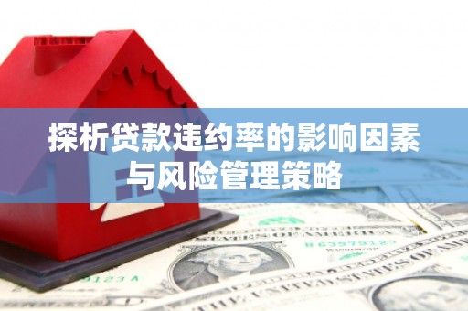 原州探析贷款违约率的影响因素与风险管理策略