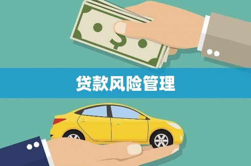 原州贷款风险管理
