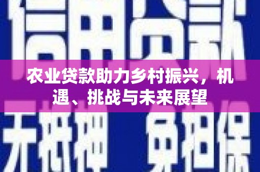 原州农业贷款助力乡村振兴，机遇、挑战与未来展望