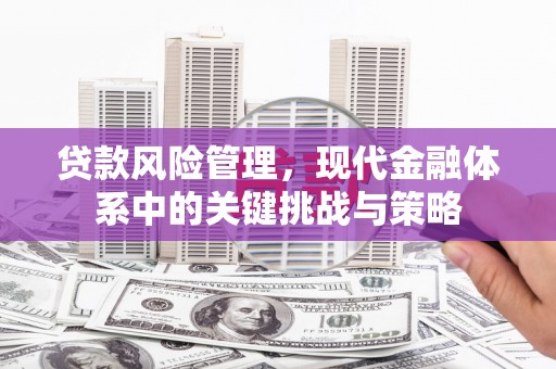 原州贷款风险管理，现代金融体系中的关键挑战与策略