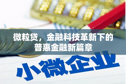 原州微粒贷，金融科技革新下的普惠金融新篇章