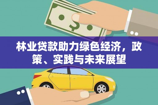 原州林业贷款助力绿色经济，政策、实践与未来展望